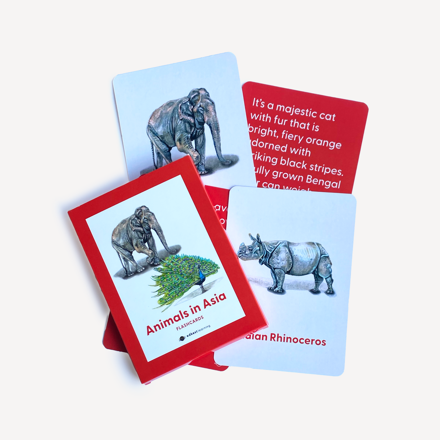 Animals in Asia Flashcards