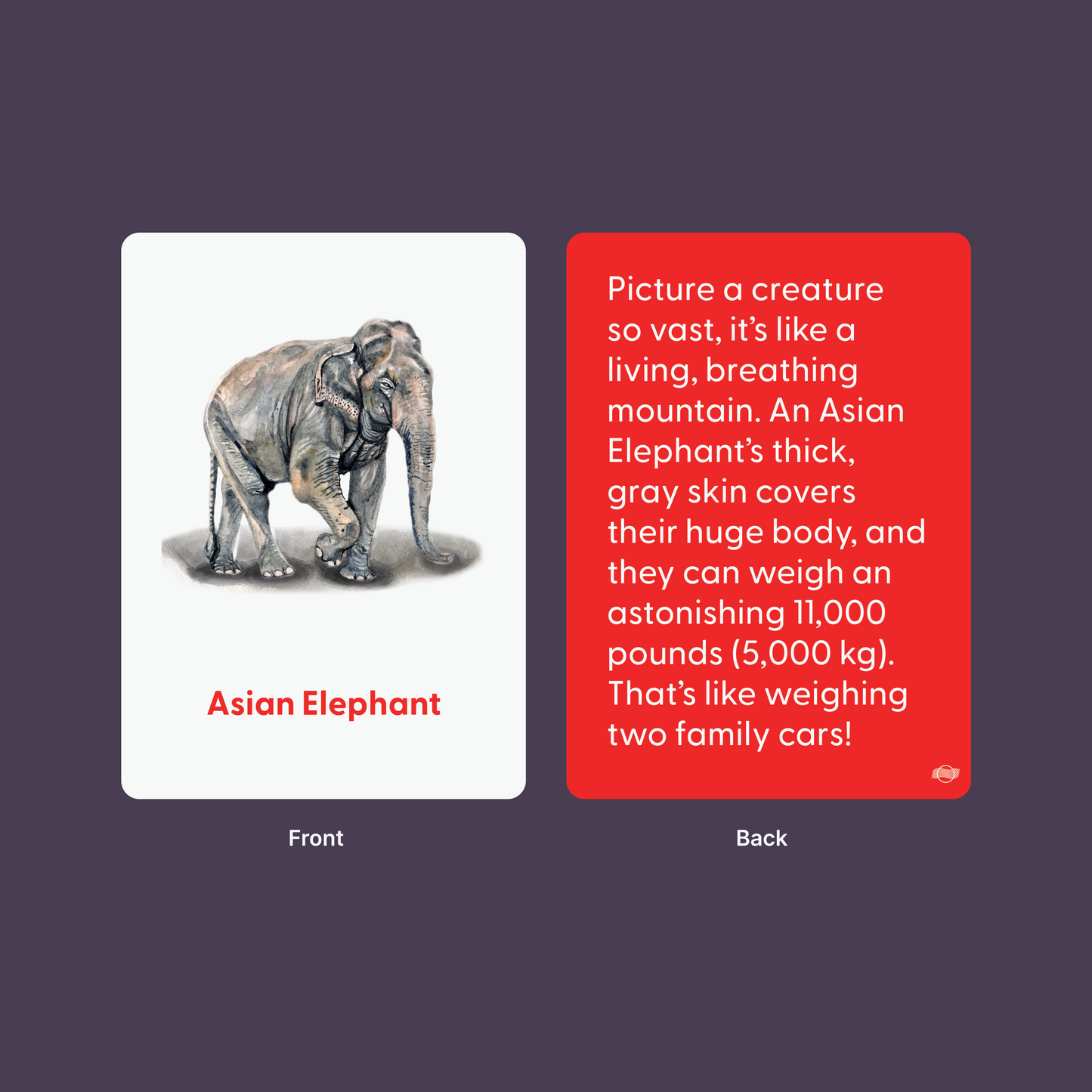 Animals in Asia Flashcards