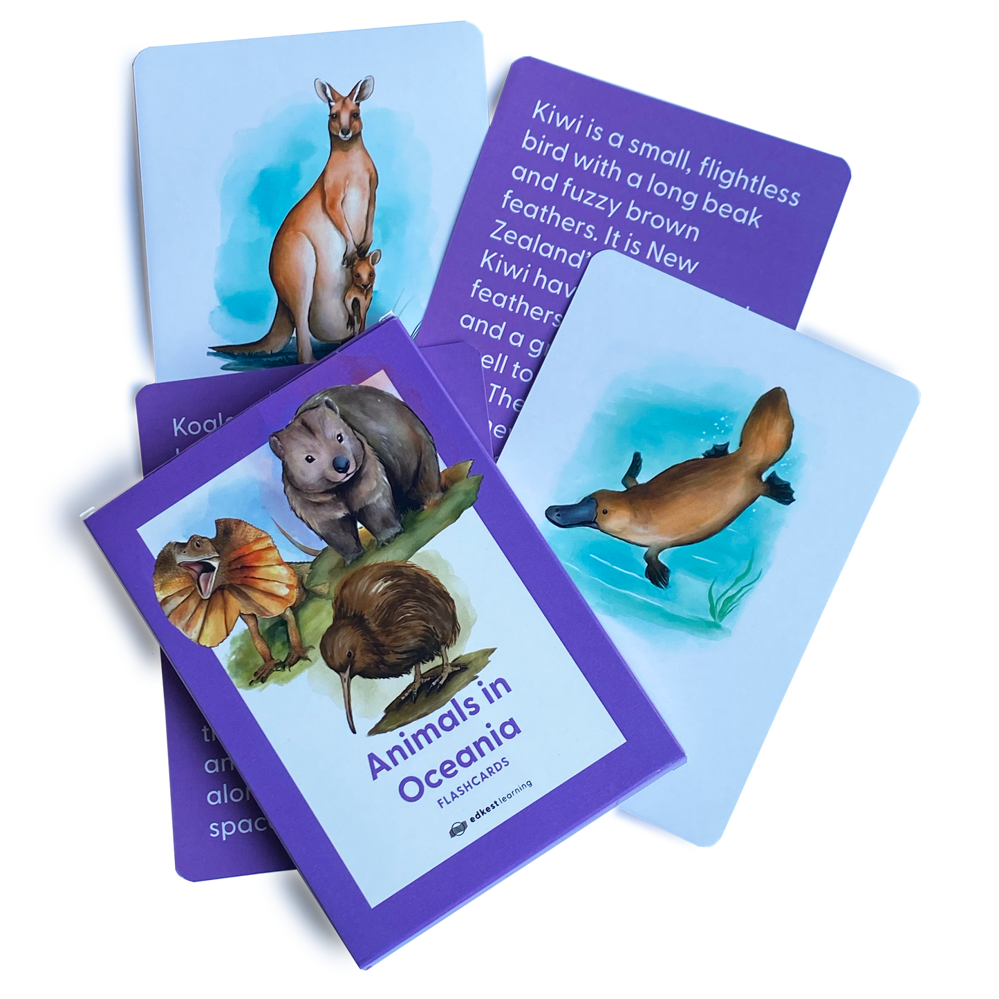 Animals in Oceania Flashcards