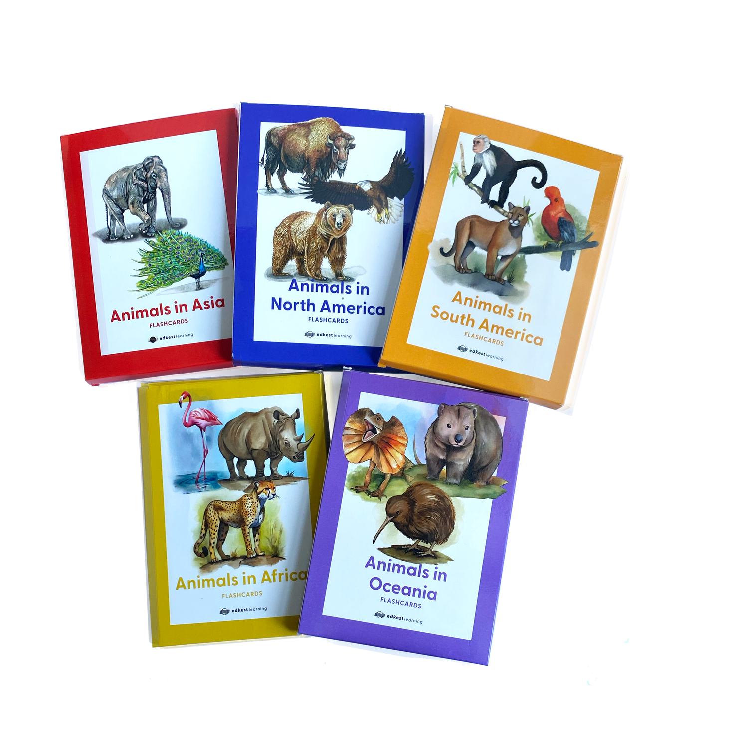 Edkest Flashcards