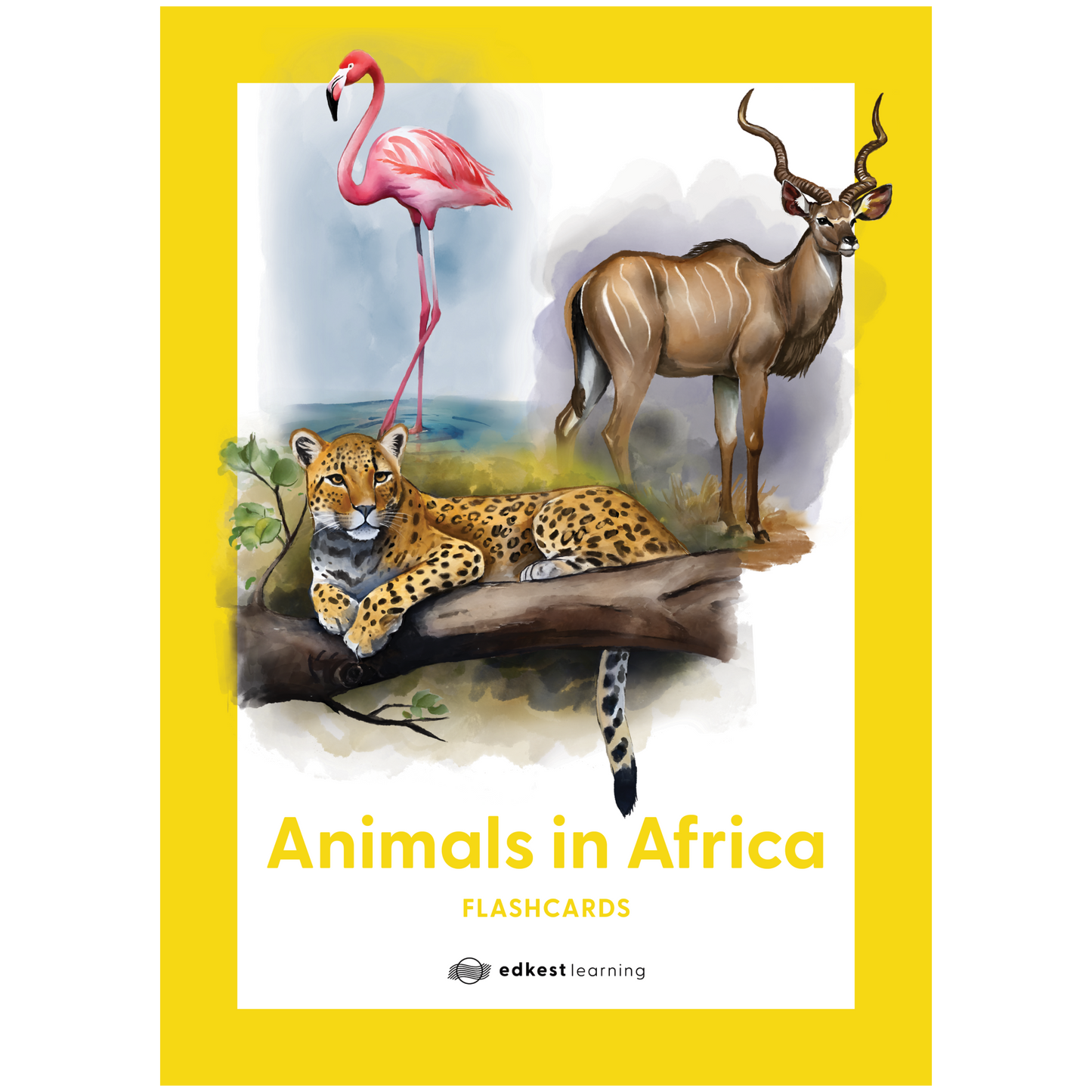 Animals in Africa Flashcards