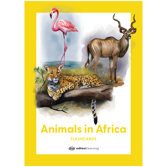 Animals in Africa Flashcards