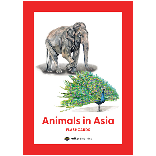 Animals in Asia Flashcards