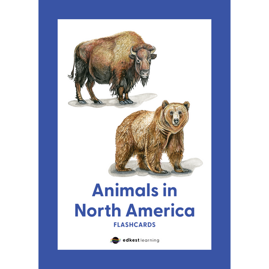 Animals in North America Flashcards