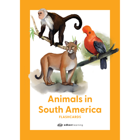 Animals in South America Flashcards