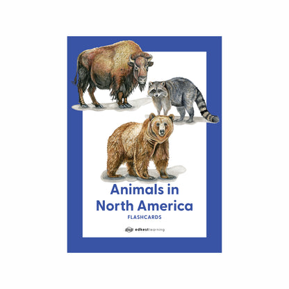 Animals in North America Flashcards