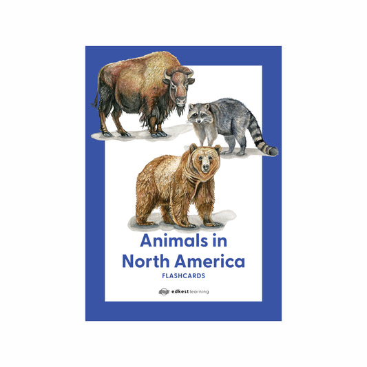 Animals in North America Flashcards