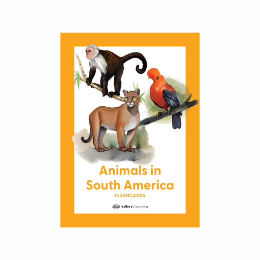 Animals in South America Flashcards
