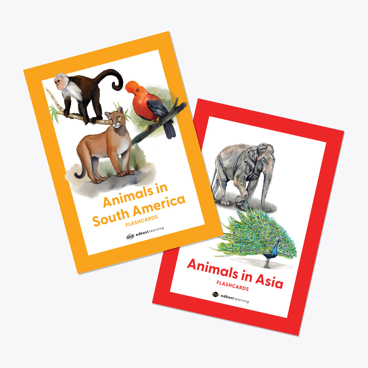 World Wildlife Explorer Duo: Animals in Asia & South America Flashcard Set (60 Cards)