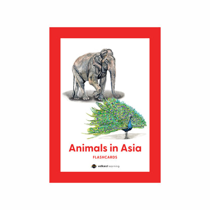 Animals in Asia Flashcards