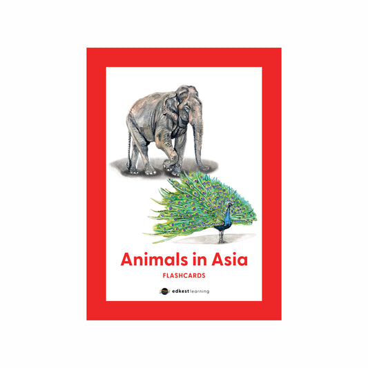Animals in Asia Flashcards