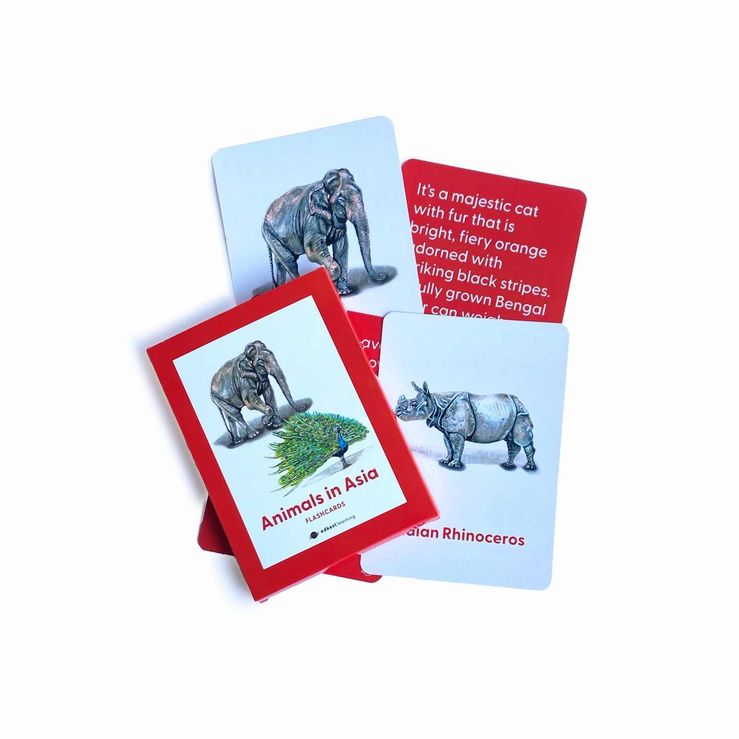 Animals in Asia Flashcards