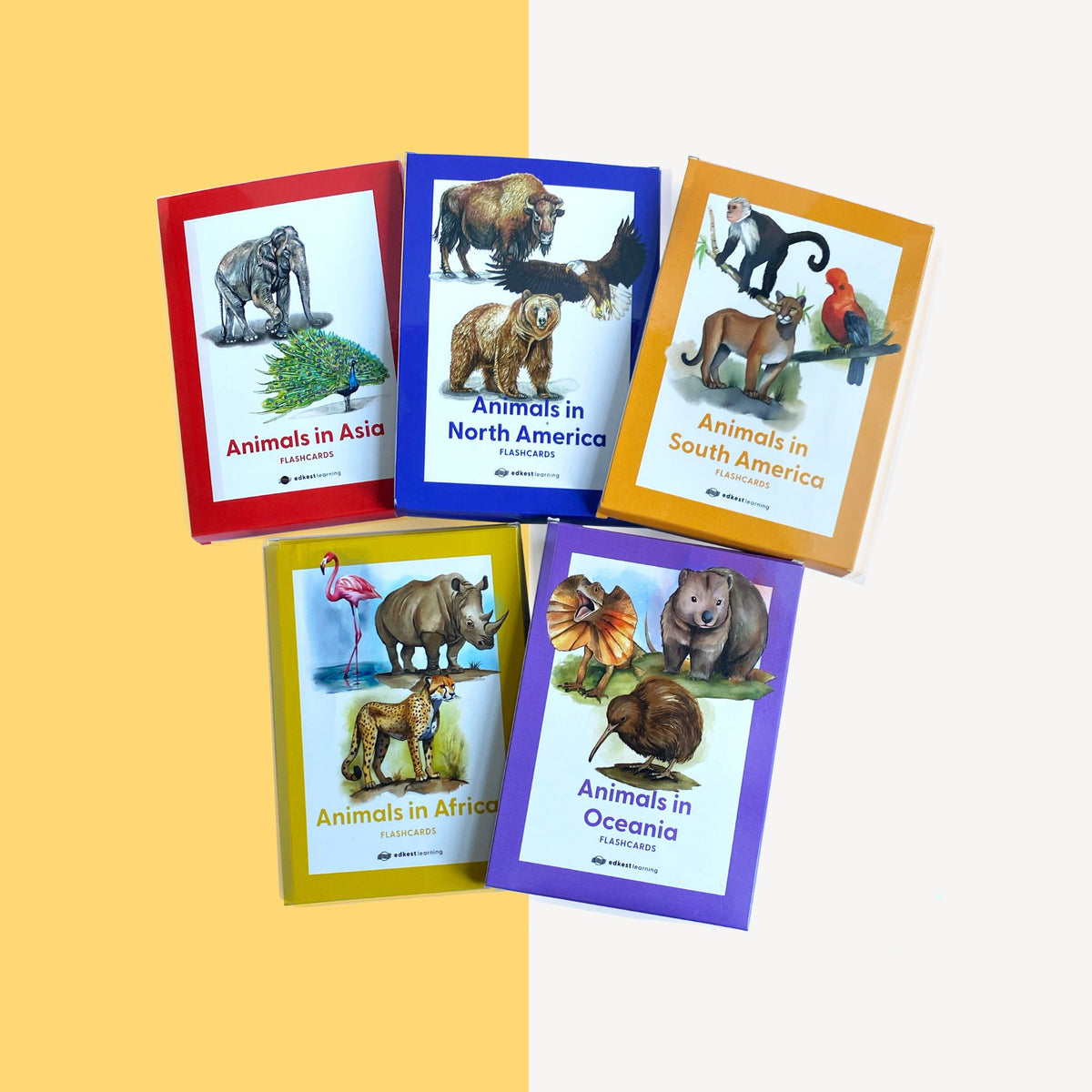 Animals Flashcards
