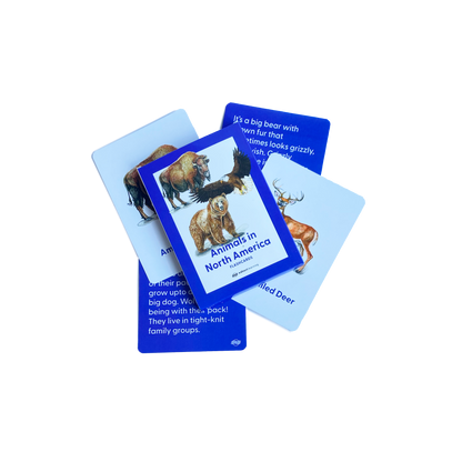 Animals in North America Flashcards