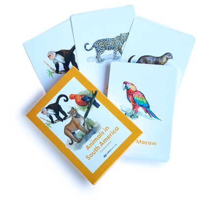 Animals in South America Flashcards